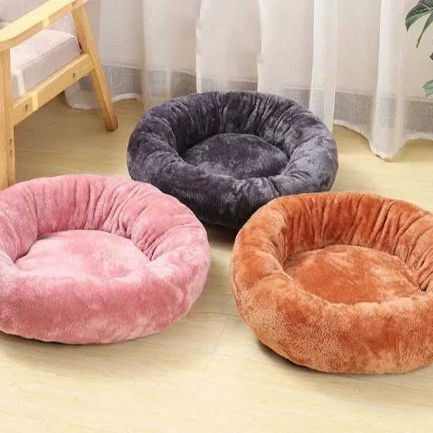 Panier Confort pour Chien de Petite Taille