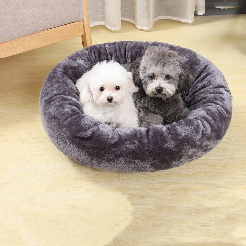 Panier Confort pour Chien de Petite Taille